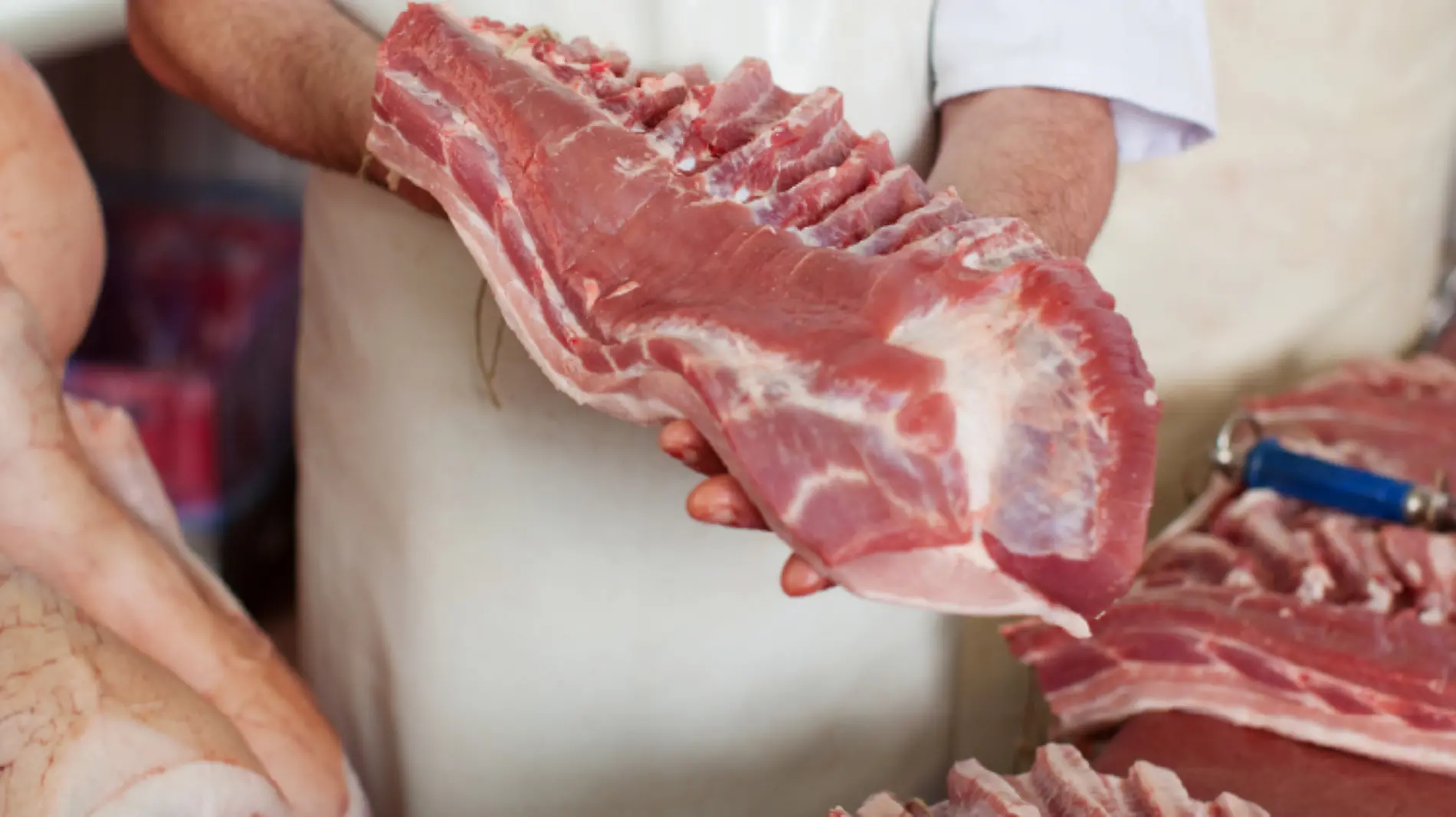 Producción de Carne en México